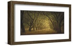 Evergreen, New Alley, Right Side-William Guion-Framed Art Print