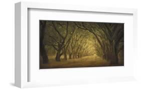 Evergreen, New Alley, Right Side-William Guion-Framed Art Print