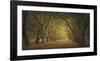 Evergreen, New Alley, Right Side-William Guion-Framed Art Print