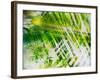 Evergreen No. 11-Sven Pfrommer-Framed Photographic Print