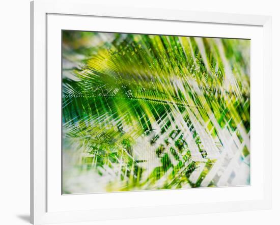 Evergreen No. 11-Sven Pfrommer-Framed Photographic Print