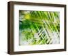 Evergreen No. 11-Sven Pfrommer-Framed Photographic Print