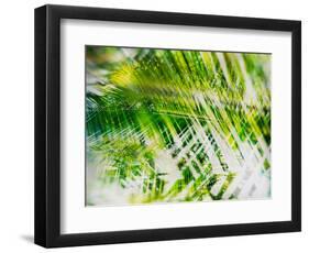 Evergreen No. 11-Sven Pfrommer-Framed Photographic Print