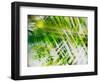 Evergreen No. 11-Sven Pfrommer-Framed Photographic Print