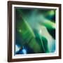 Evergreen No. 1-Sven Pfrommer-Framed Premium Photographic Print