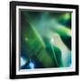 Evergreen No. 1-Sven Pfrommer-Framed Premium Photographic Print