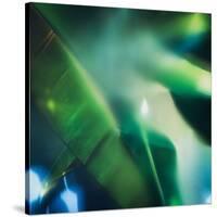 Evergreen No. 1-Sven Pfrommer-Stretched Canvas