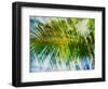 Evergreen No. 9-Sven Pfrommer-Framed Photographic Print