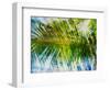 Evergreen No. 9-Sven Pfrommer-Framed Photographic Print