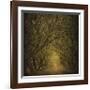 Evergreen Oak Alley (vertical view)-William Guion-Framed Art Print