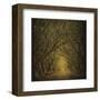 Evergreen Oak Alley (vertical view)-William Guion-Framed Art Print