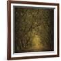 Evergreen Oak Alley (vertical view)-William Guion-Framed Art Print