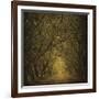 Evergreen Oak Alley (vertical view)-William Guion-Framed Art Print