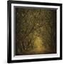 Evergreen Oak Alley (vertical view)-William Guion-Framed Art Print