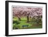Evergreen Park-Donald Paulson-Framed Giclee Print