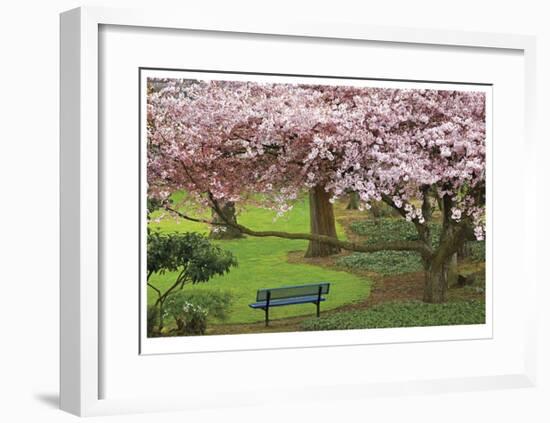 Evergreen Park-Donald Paulson-Framed Giclee Print