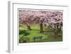 Evergreen Park-Donald Paulson-Framed Giclee Print