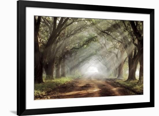 Evergreen Plantation-Mike Jones-Framed Giclee Print