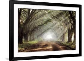 Evergreen Plantation-Mike Jones-Framed Giclee Print
