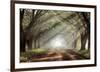 Evergreen Plantation-Mike Jones-Framed Giclee Print