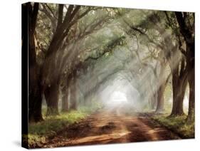 Evergreen Plantation-Mike Jones-Stretched Canvas