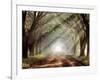 Evergreen Plantation-Mike Jones-Framed Photographic Print