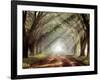 Evergreen Plantation-Mike Jones-Framed Photographic Print