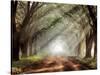 Evergreen Plantation-Mike Jones-Stretched Canvas