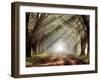 Evergreen Plantation-Mike Jones-Framed Photographic Print