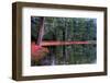 Evergreen Reflections-michaelmill-Framed Photographic Print