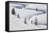 Evergreen Trees in the Snow with a Meandering Stream-James Hager-Framed Stretched Canvas