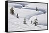 Evergreen Trees in the Snow with a Meandering Stream-James Hager-Framed Stretched Canvas