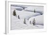 Evergreen Trees in the Snow with a Meandering Stream-James Hager-Framed Photographic Print