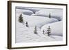 Evergreen Trees in the Snow with a Meandering Stream-James Hager-Framed Photographic Print