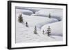 Evergreen Trees in the Snow with a Meandering Stream-James Hager-Framed Photographic Print