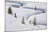 Evergreen Trees in the Snow with a Meandering Stream-James Hager-Mounted Photographic Print