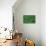 Evergreen Wood Ferns-James Randklev-Stretched Canvas displayed on a wall