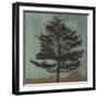 Evergreen-Erin Clark-Framed Giclee Print