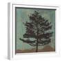 Evergreen-Erin Clark-Framed Giclee Print