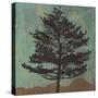 Evergreen-Erin Clark-Stretched Canvas