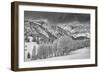 Evergreens and Aspen Trees in a Snow Storm Near Gobbler's Knob, Utah-Howie Garber-Framed Photographic Print