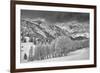 Evergreens and Aspen Trees in a Snow Storm Near Gobbler's Knob, Utah-Howie Garber-Framed Photographic Print