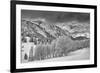 Evergreens and Aspen Trees in a Snow Storm Near Gobbler's Knob, Utah-Howie Garber-Framed Photographic Print