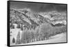 Evergreens and Aspen Trees in a Snow Storm Near Gobbler's Knob, Utah-Howie Garber-Framed Stretched Canvas