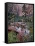 Evergreens, Red Maples, and Red Rock on the Emerald Pools Trail, Zion National Park, Utah, USA-James Hager-Framed Stretched Canvas