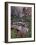 Evergreens, Red Maples, and Red Rock on the Emerald Pools Trail, Zion National Park, Utah, USA-James Hager-Framed Photographic Print