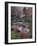 Evergreens, Red Maples, and Red Rock on the Emerald Pools Trail, Zion National Park, Utah, USA-James Hager-Framed Photographic Print