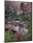 Evergreens, Red Maples, and Red Rock on the Emerald Pools Trail, Zion National Park, Utah, USA-James Hager-Mounted Photographic Print