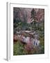 Evergreens, Red Maples, and Red Rock on the Emerald Pools Trail, Zion National Park, Utah, USA-James Hager-Framed Photographic Print