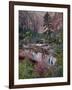 Evergreens, Red Maples, and Red Rock on the Emerald Pools Trail, Zion National Park, Utah, USA-James Hager-Framed Photographic Print